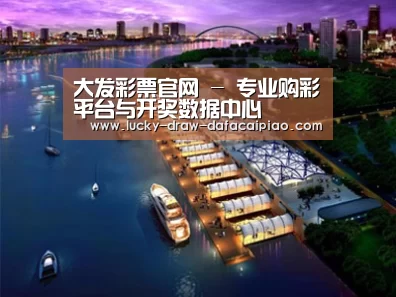 案例展示八
