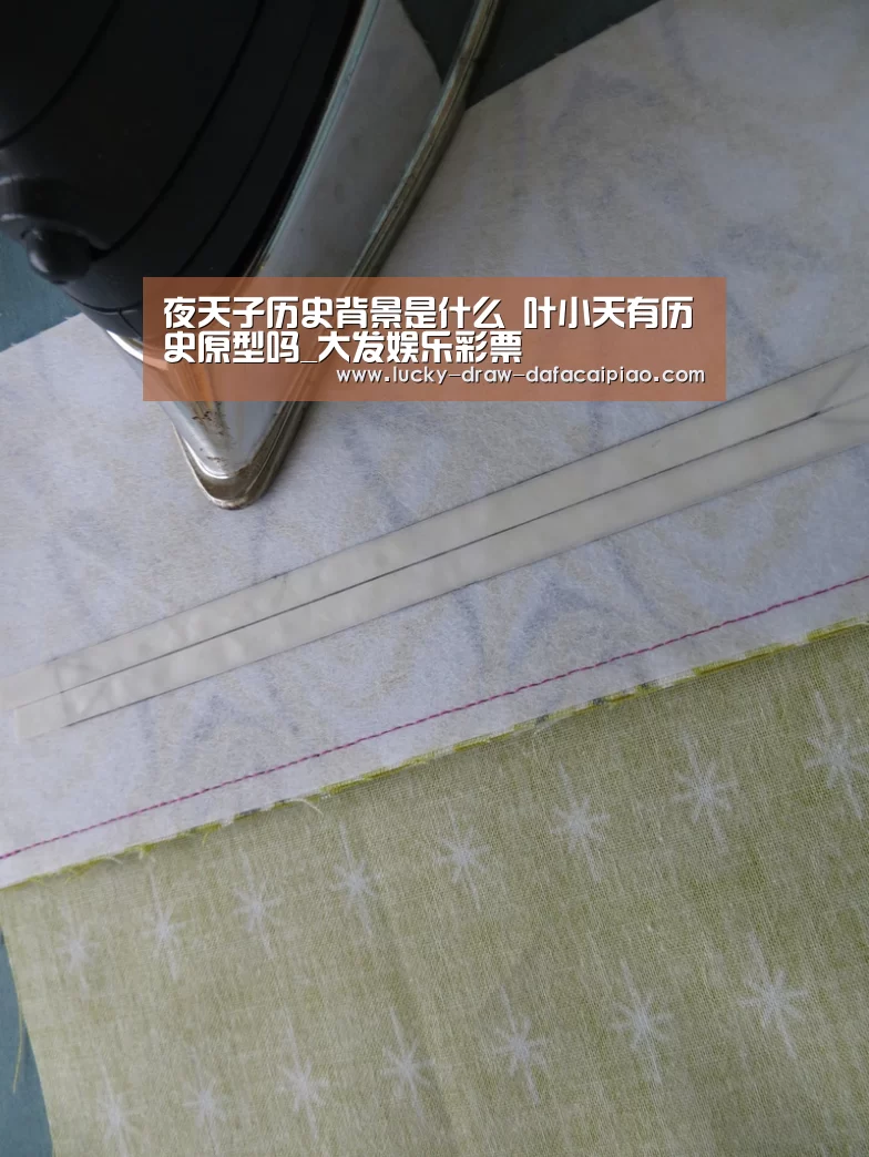 大发彩票官网