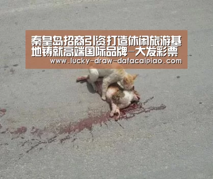 大发彩票官网