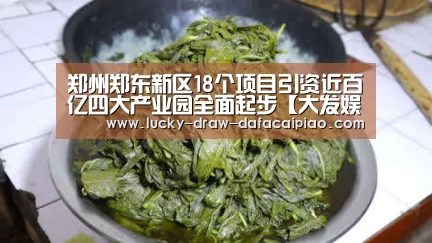 郑州郑东新区18个项目引资近百亿四大产业园全面起步【大发娱乐彩票】(图3) 大发彩票官网